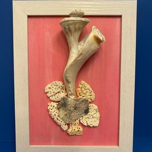 Handmade framed sea shell art